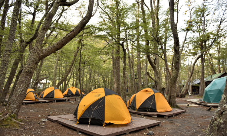 Camp Los Perros